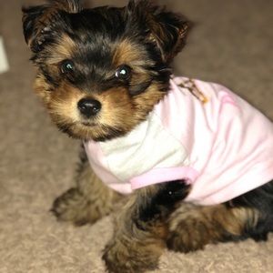 Meet your Posher, Debbie